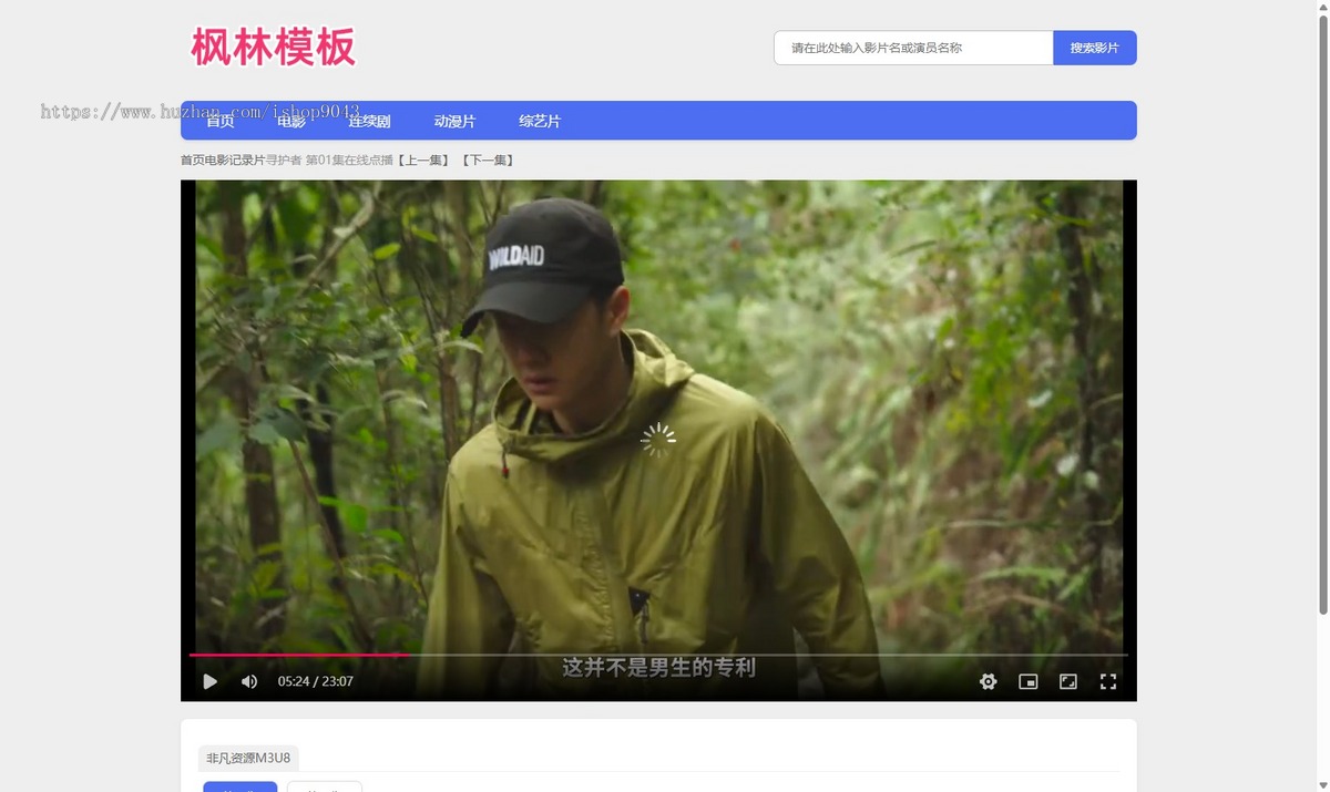 t55小鸟影视蓝色主题风格自适应手机PC电脑自适应模板苹果CMSV10模板