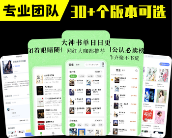 小说漫画APP系统开发免费听书会员付费阅读推广分销源码搭建广告联盟项目对接小程序h5
