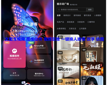 ai文生视频图生视频视频换人视频反推换装改字仿图 Banana作图Grok sora veo视频 亲测
