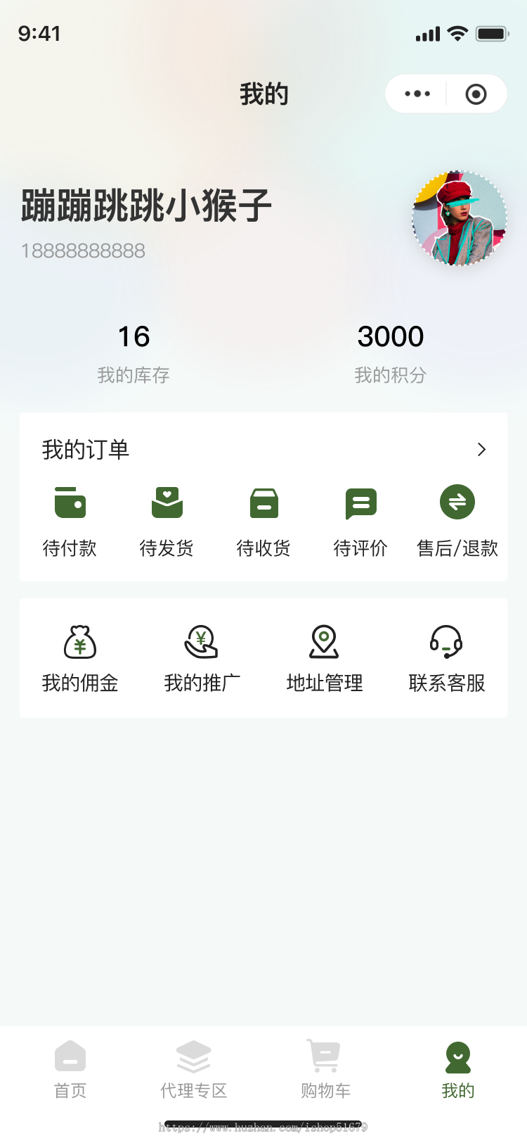 代理分销商城小程序系统源码