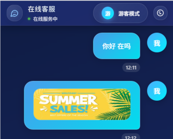 在线客服系统，自适应客服系统，支持电脑pc端手机H5