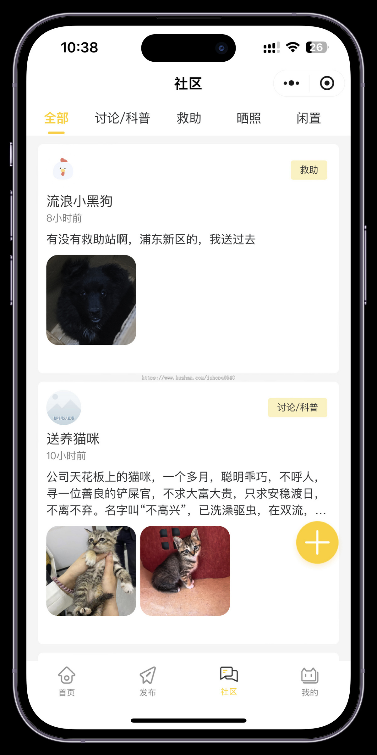 宠物领养小程序寻宠领养系统领养信息发布宠物领养小程序