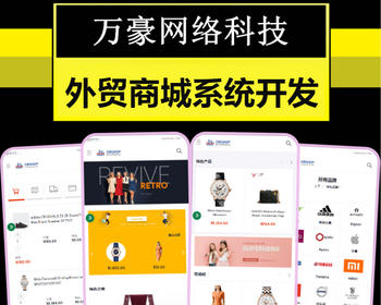 外贸商城app开发海外多语言切换跨境电商零售分销系统多商户入驻积分商城源码搭建h5