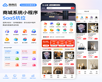 商城系统小程序系统SaaS坑位单商户商城小程序公众号H5系统源码SaaS坑位