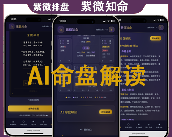 AI英语解盘紫微排盘紫微知命测算五行风水八字AI算命占卜中英文解盘