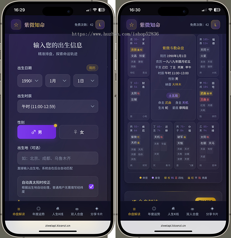AI英语解盘紫微排盘紫微知命测算五行风水八字AI算命占卜中英文解盘