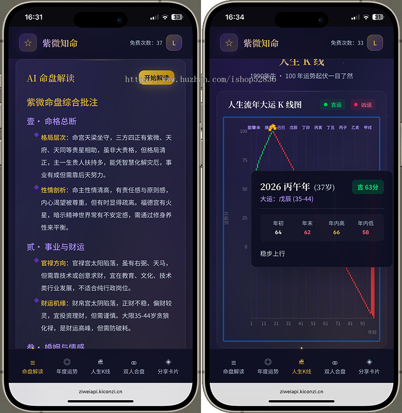 AI英语解盘紫微排盘紫微知命测算五行风水八字AI算命占卜中英文解盘