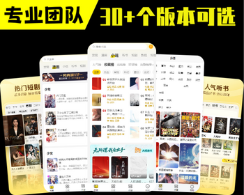 小说漫画APP软件开发在线听书会员特权付费打赏阅读小程序影视短剧分销系统源码搭建h5