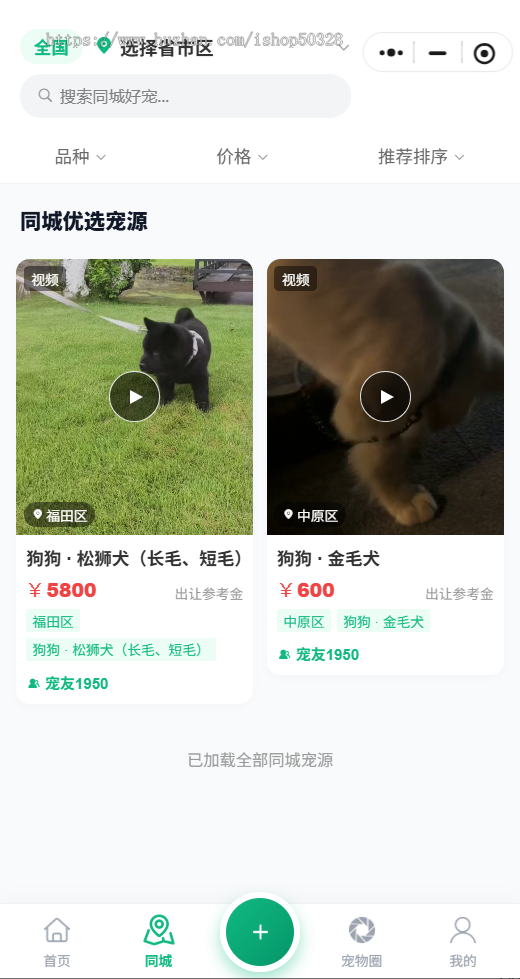 本地宠物供需匹配平台|宠物领养 / 售卖小程序同城宠物交易小程序