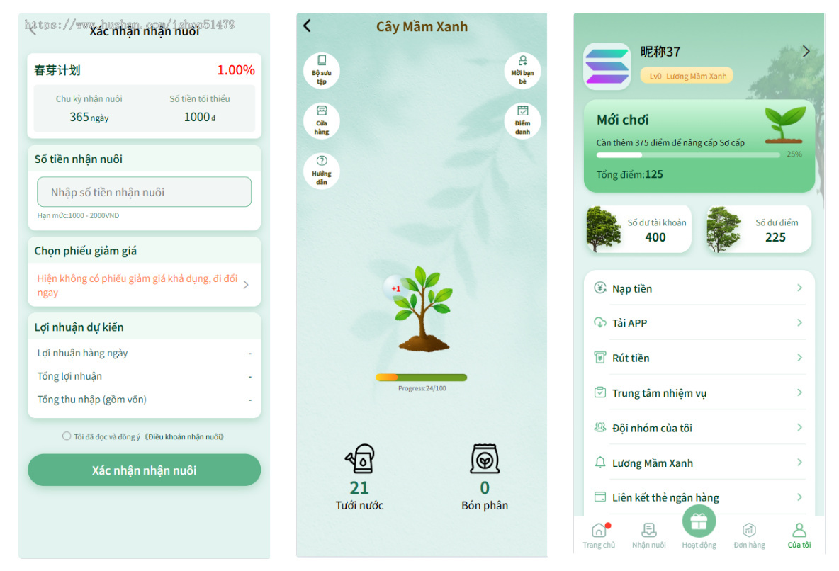 越南青芽计划源码/投资理财/全开源附送搭建教程