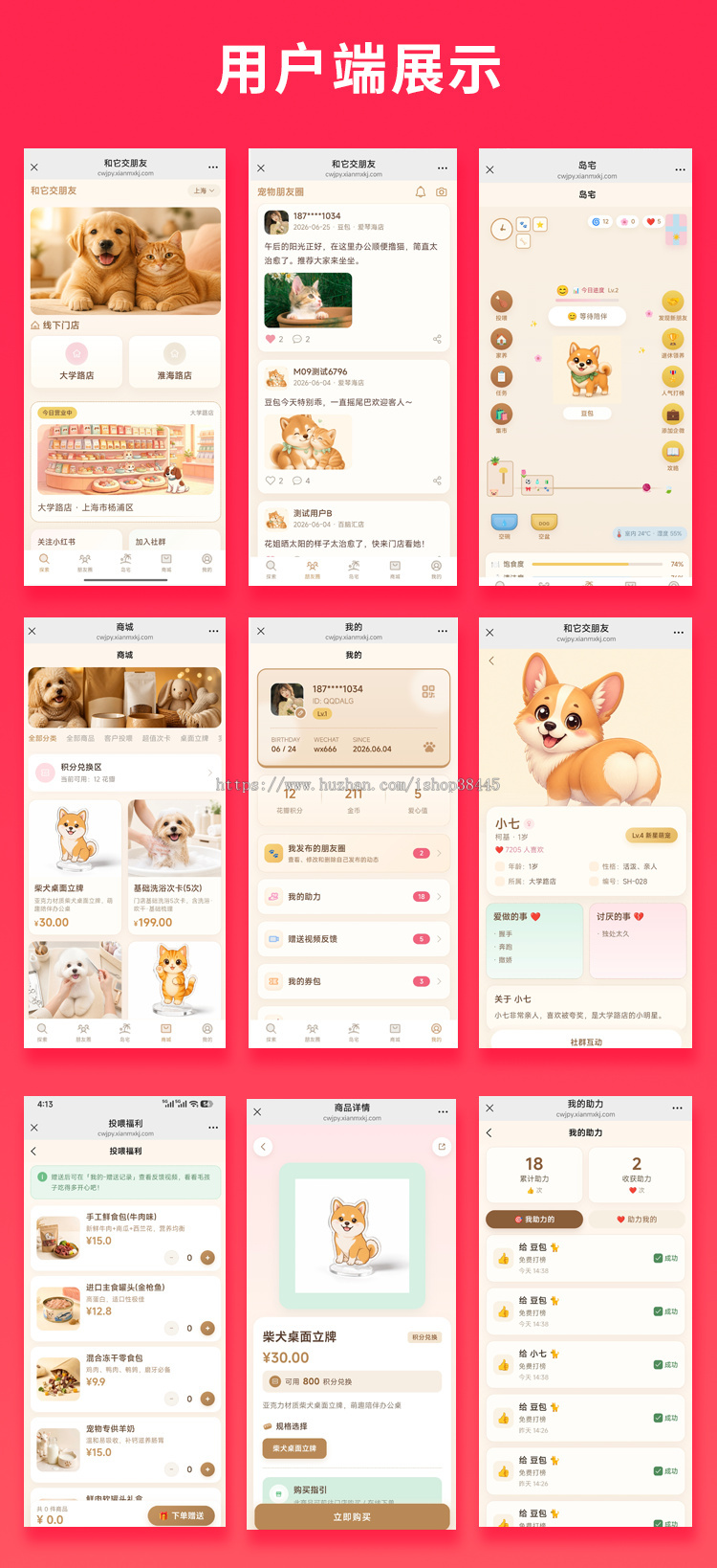 省钱兄JAVA和它交朋友线上宠物喂养领养系统源码支持小程序+公众号+H5