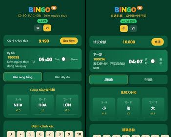 中越双语越南宾果18 Bingo18 实时倒计时开奖试玩模拟器源码 全玩法赔率后台自由调控